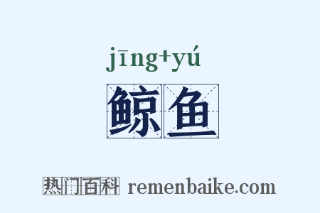 鲸鱼是什么意思的图片